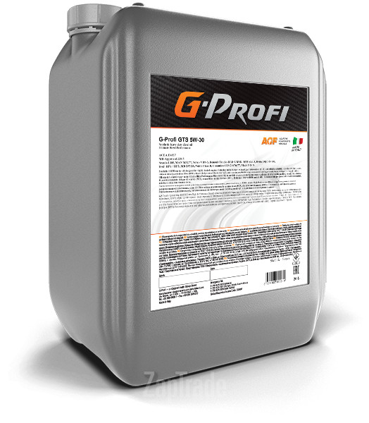 ������ �������� ����� G-energy G-Profi GTS 5W-30 ������������� | ������� 8034108195810